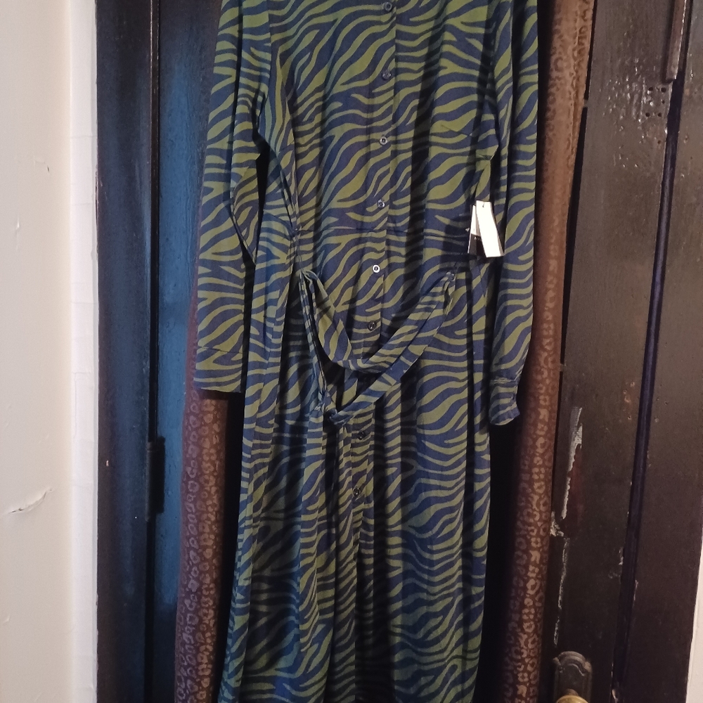 Button front dress